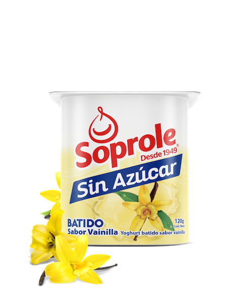 Yoghurt Sin Azucar Batido Vainilla 120 gr